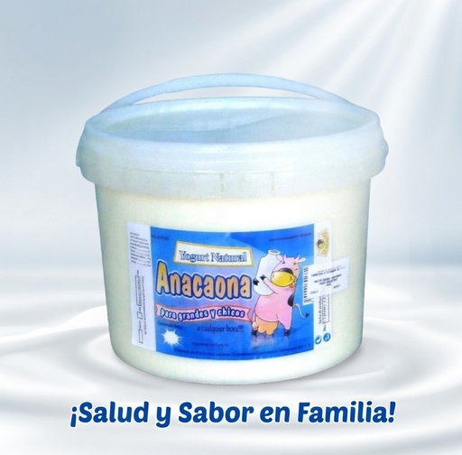 Yogurts Natural en Cubos de 4 Litros